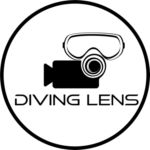 logo 4k dl b